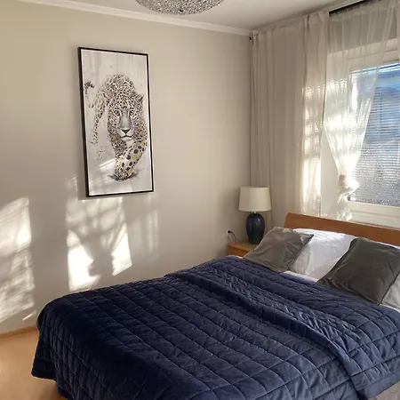 Center Βίλα Ζακοπάνε